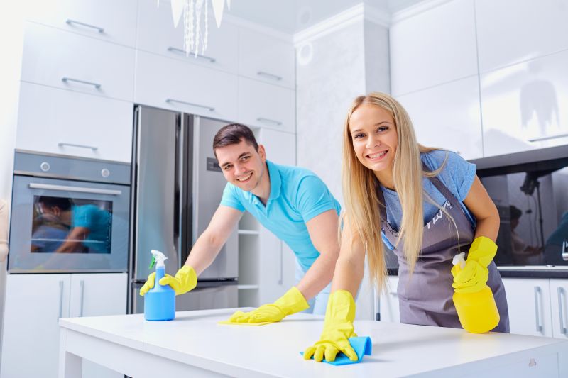 Kitchen Cleaning Service in Renton, WA